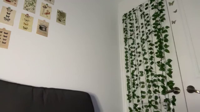 mayflowwer
