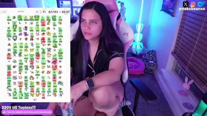 Nekobeanxo