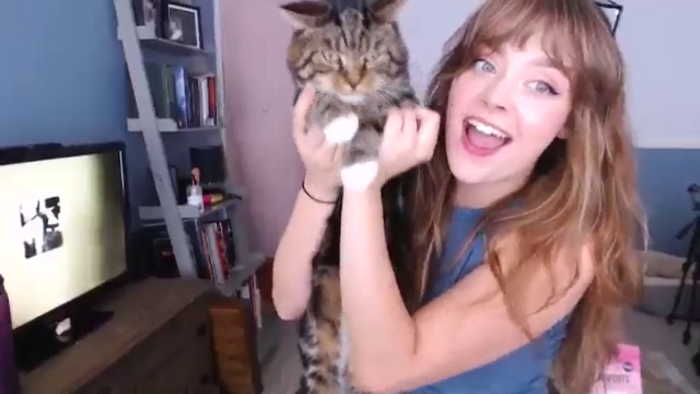 Kittycash3w