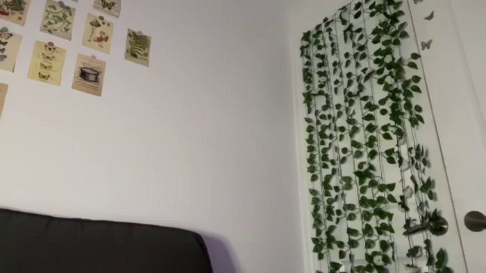 mayflowwer