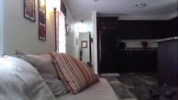 DaniBrasshole