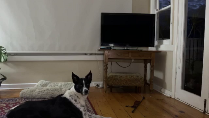 Alt_Aussie