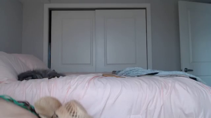 AlexisWildest