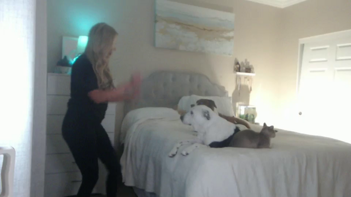 Queen_bambii