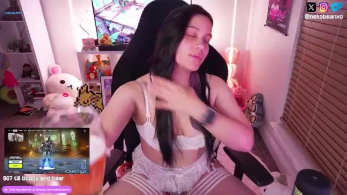 Nekobeanxo
