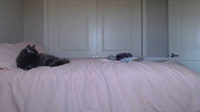 AlexisWildest