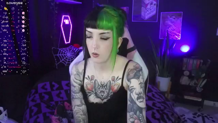 TatsnCats
