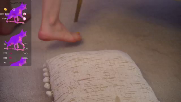 LexiReed