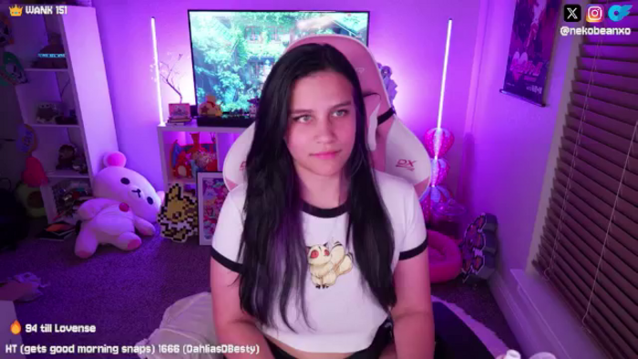 Nekobeanxo