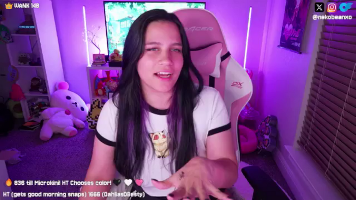 Nekobeanxo