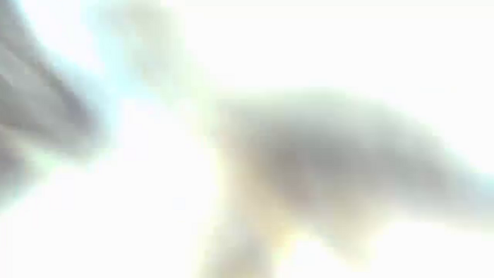 EnglishRose3