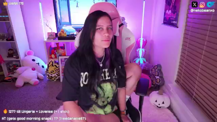Nekobeanxo