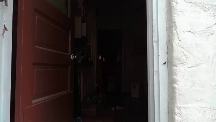 TrollopTaylor