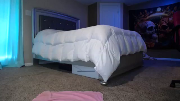AshlynnStorm