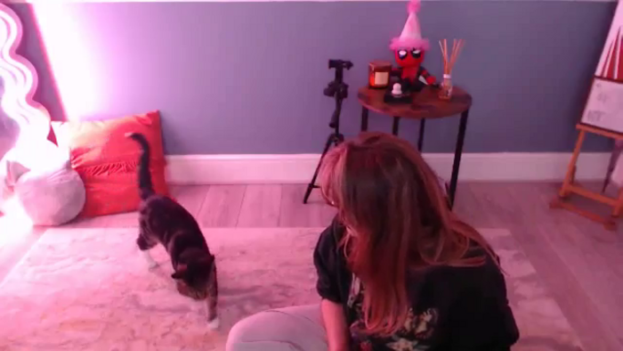 Kittycash3w