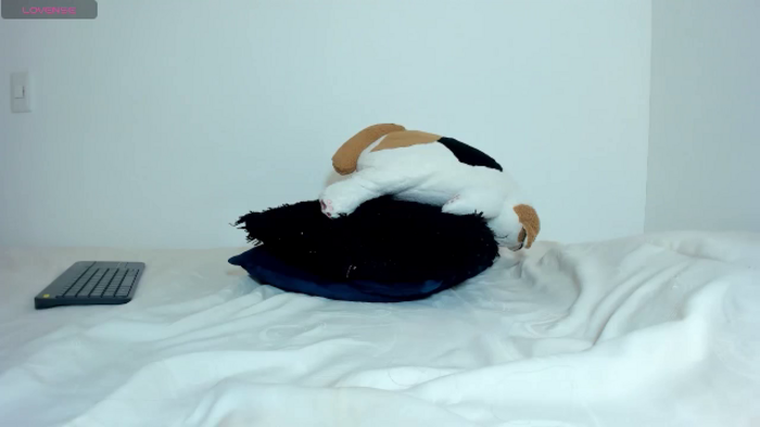 Amelia_avalor
