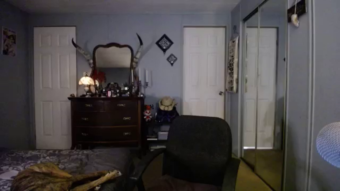 Classic_Daisy