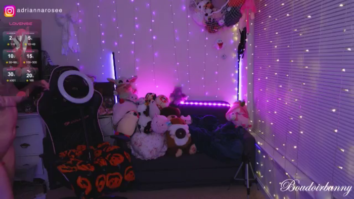 boudoirbunny