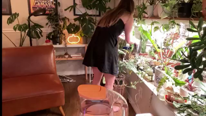 SweetbratKate