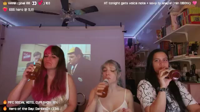 Nekobeanxo