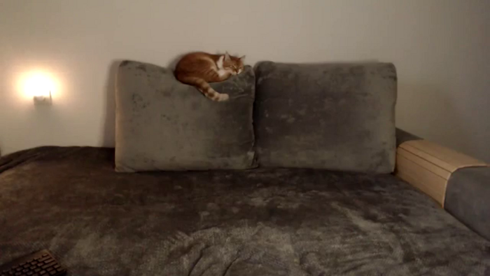 tastylikecola