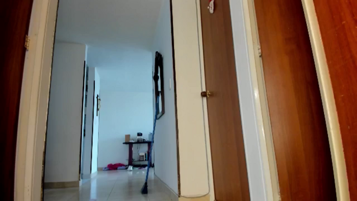 Tiny_Cora