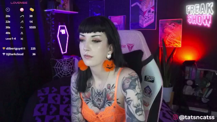TatsnCats