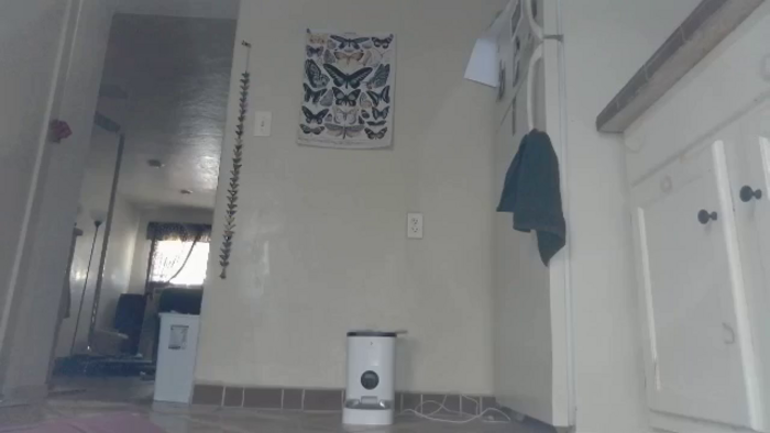 TrollopTaylor