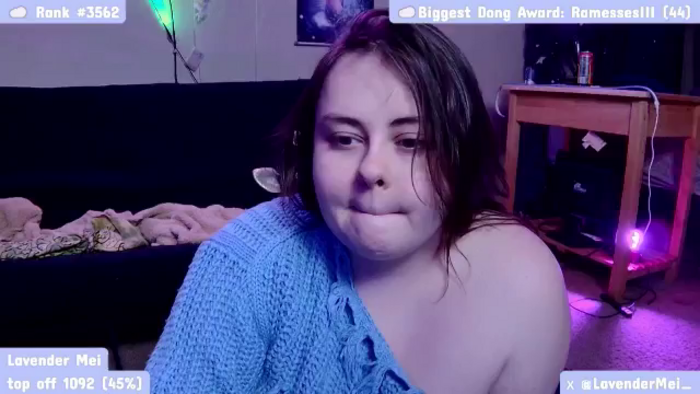LavenderMei