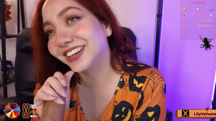 LilyVelvet