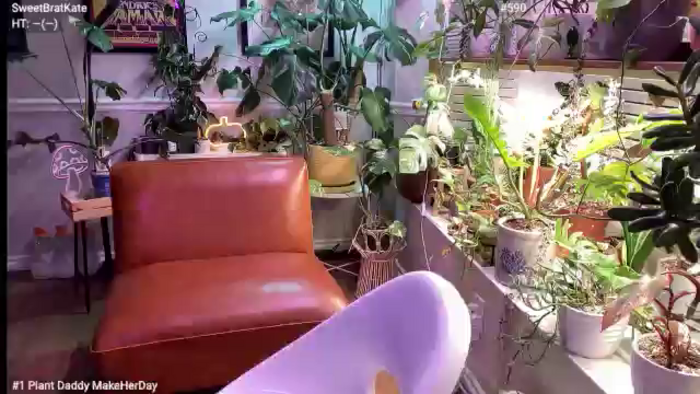 SweetbratKate