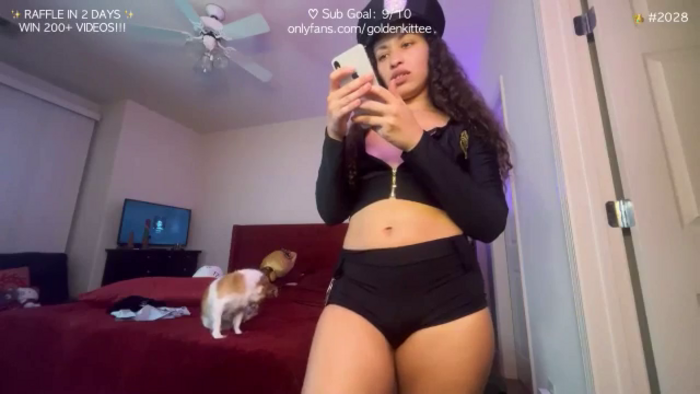 GoldenKittee