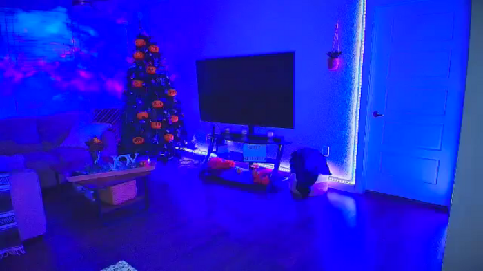 Sammy_gray