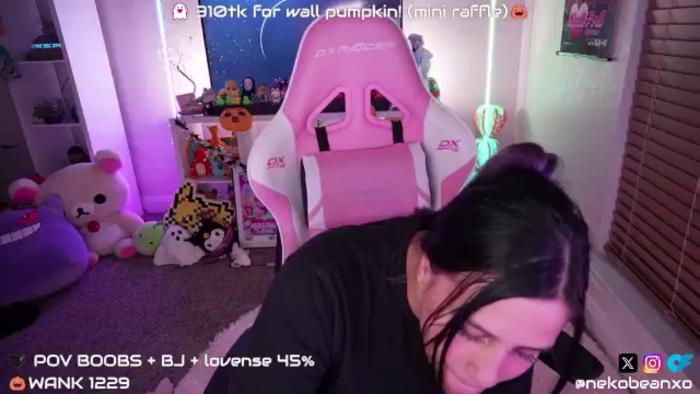 Nekobeanxo