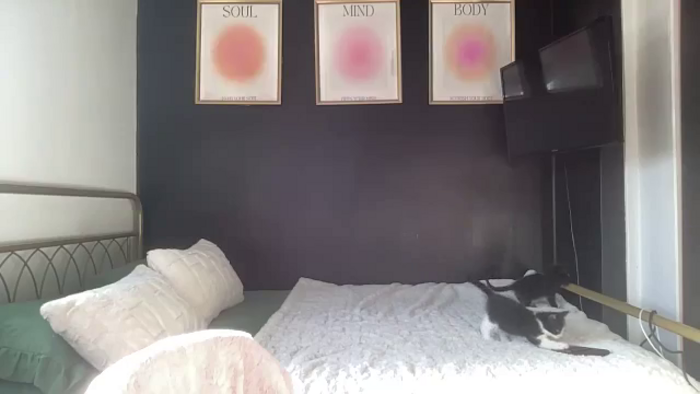 petitebabixo