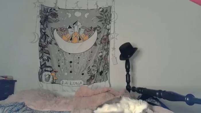 TrollopTaylor