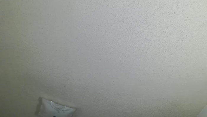 Bella_Springs