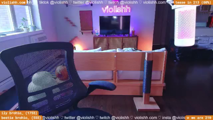 violishh