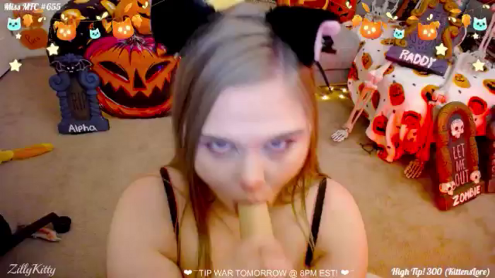 ZillyKitty