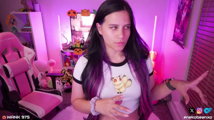 Nekobeanxo
