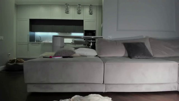 Smart_Cat