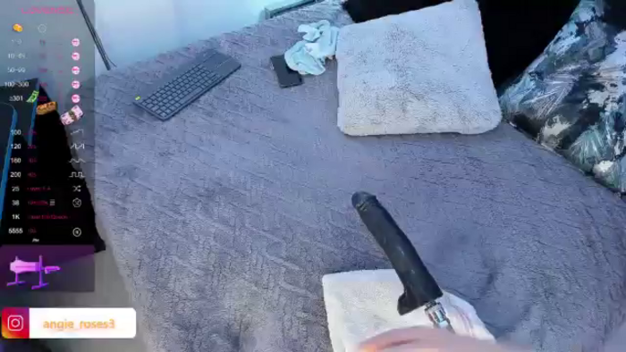 Angie_Roses