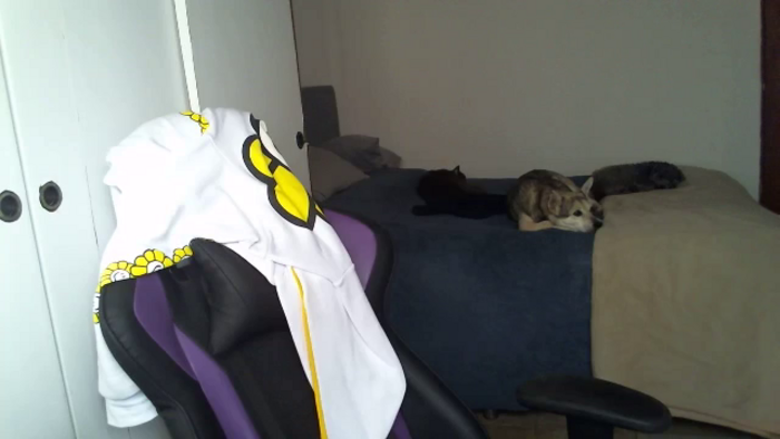 Zefyra1