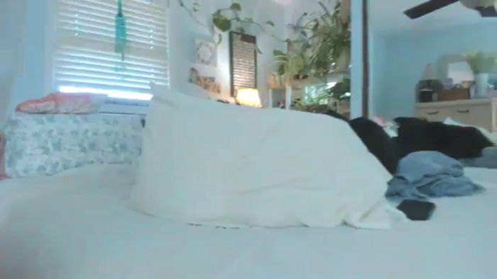thewolfof_MFC