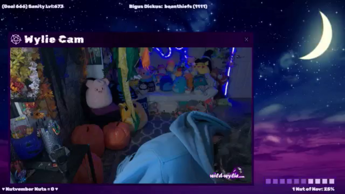 WildWyliePM