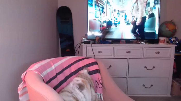 AlexisWildest