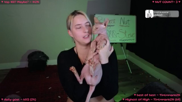 MollyMeowz