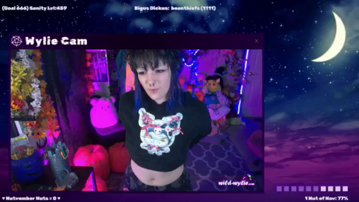 WildWyliePM