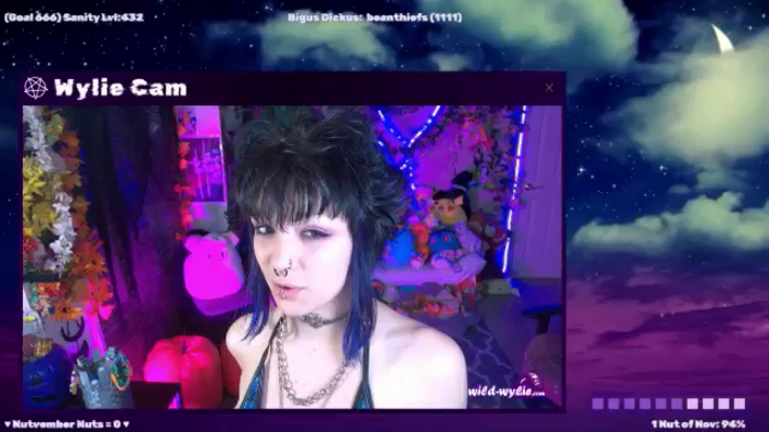 WildWyliePM