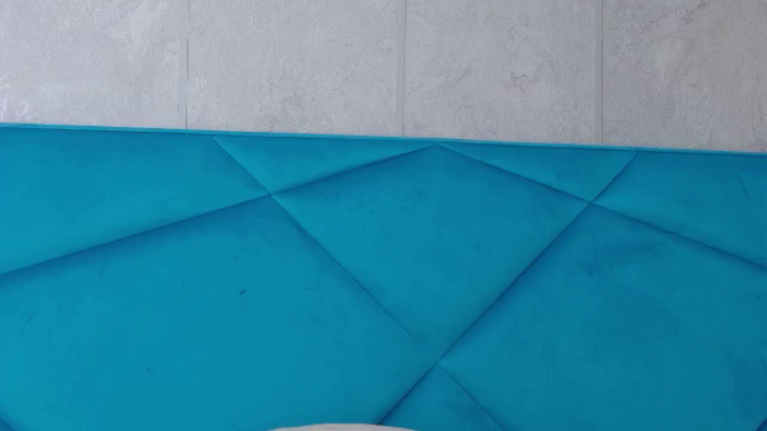 Alysereuse
